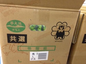熊本　スイカ２